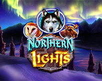 Northern Lights